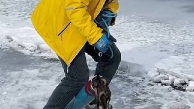 #户外捕鱼 #好多鱼