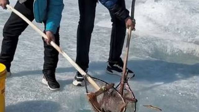 #户外捕鱼 #好多鱼