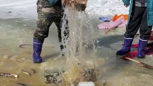 #户外捕鱼 #好多鱼