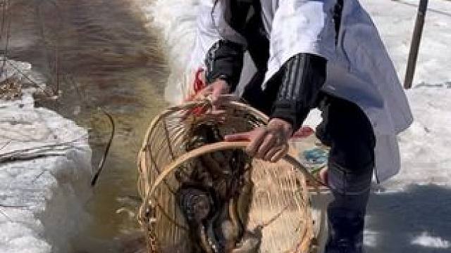 #户外捕鱼 #好多鱼