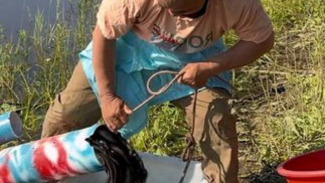 #户外捕鱼 #好多鱼