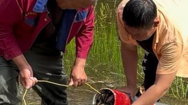 #户外捕鱼 #好多鱼