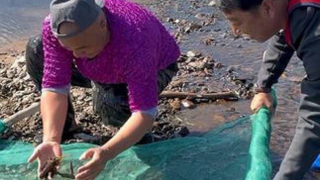 #户外捕鱼 #好多鱼