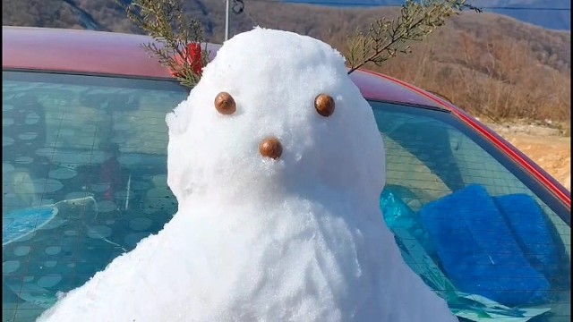 今年终于看见雪了  实属不易