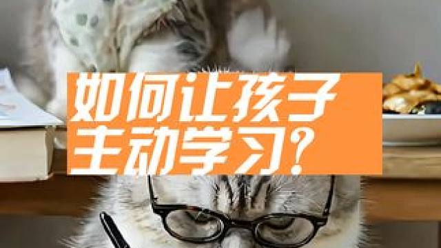 如果让孩子主动学习?
父母要有边界感，放下对孩子的支配，让孩子明白，学习是他自己的任务。
告诉孩子：