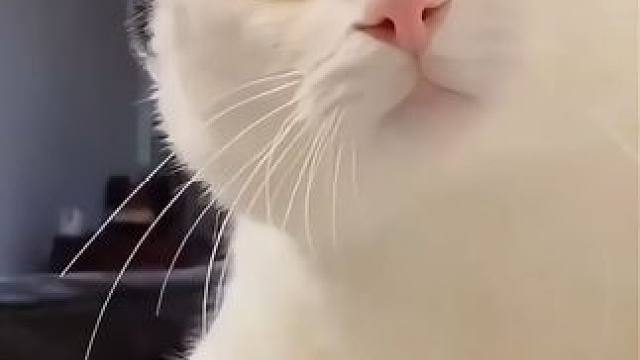 马龙也抵挡不住小女孩的可爱音