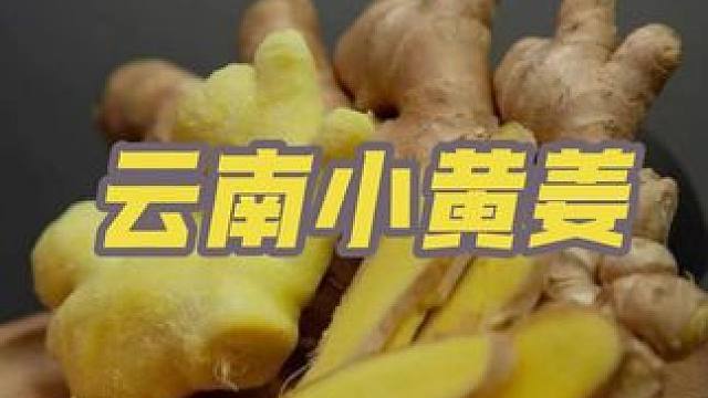 云南小黄姜#新鲜云南高山小黄姜 #口感特别好 #好吃不贵经济实惠 #超便宜超划算 