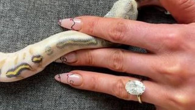 国外美女帮宠物换新衣 #国外视频分享 #奇妙的动物 #宠物