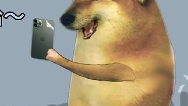 宿舍里的各种人#每日一笑 #cheems小剧场 #意想不到的结局