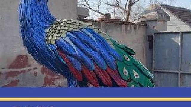 栩栩如生，#男子用轮胎做2米高孔雀以假乱真 #山东dou知道 #孔雀 #旧轮胎