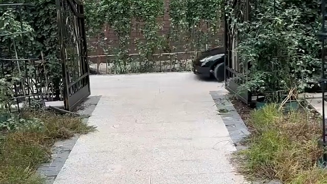 长大了直接发A1驾照了