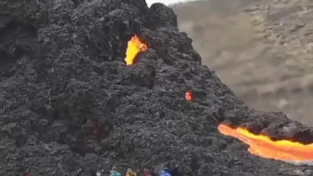 他们为什么不躲避呢？