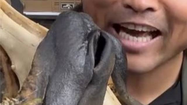 以下各种动物头，你敢吃，算我输，最后一个看着都迷糊 #吃货日常