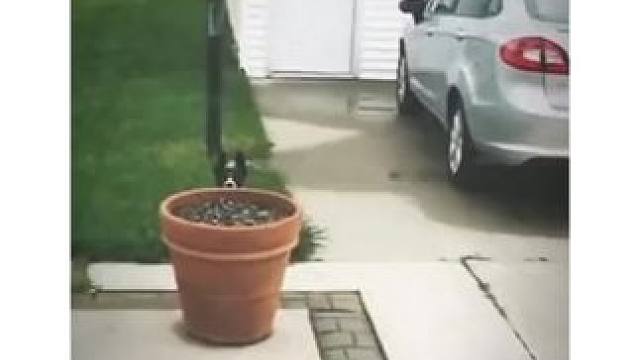 我发布了一个新视频，快来围观吧！