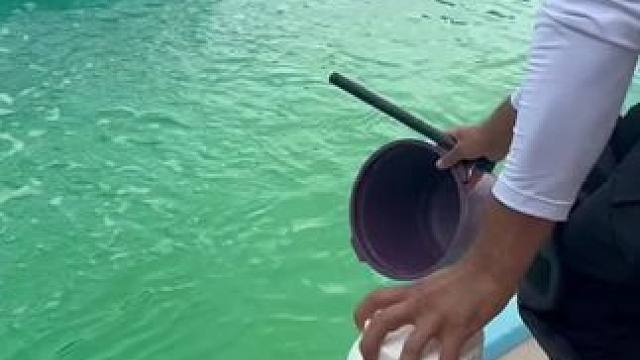 我发布了一个新视频，快来围观吧！