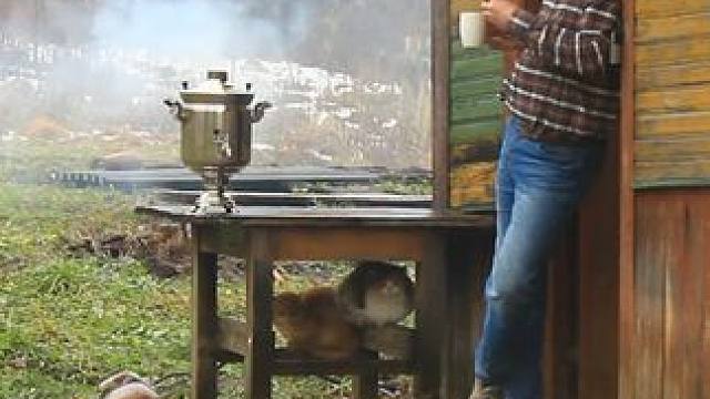 森林里100年的荒废屋子， 伴随着连绵细雨，收拾出来居住太享受了 #老屋改造 #老房改造