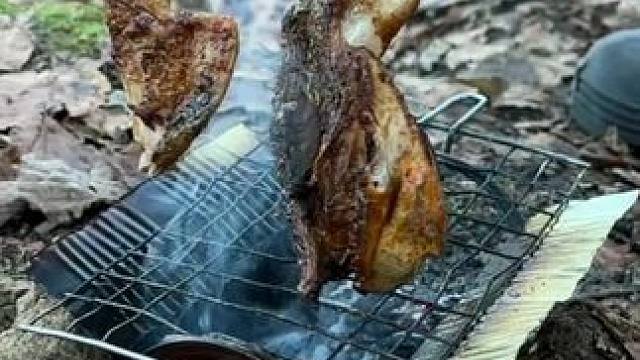 捡来的小炉子#露营报告 #露营技巧报告