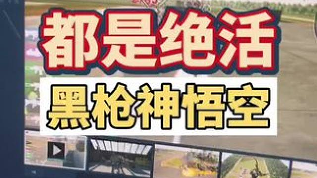 都是绝活，黑神话悟空没来呢，黑枪神悟空他来了，这我就不得不说黑棉花悟能了#steam游戏 #主机领航