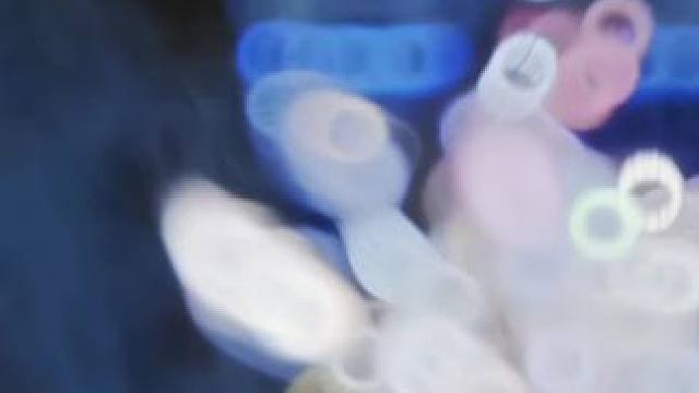 在你眼中我是谁？你想我代替谁？#逆水寒 #bgm #我的游戏故事 #情缘