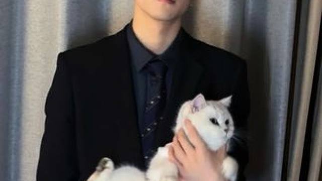 希望你也像小猫一样粘人#pidan猫粮#寸头