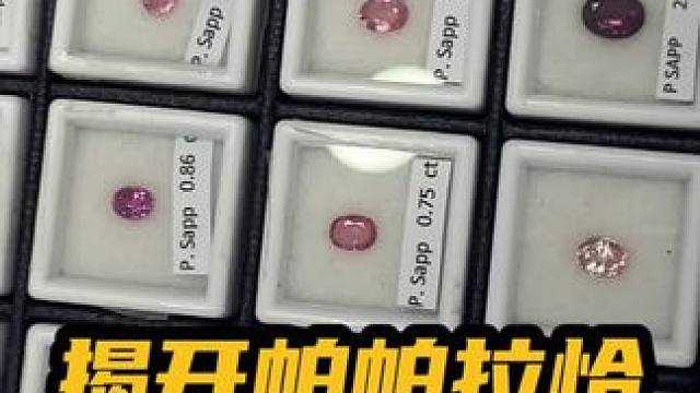 帕帕拉恰的原石都是很薄的，而且晶体都不大，所以很多都是大漏底，且超过2克拉的是非常非常罕见的，这里两