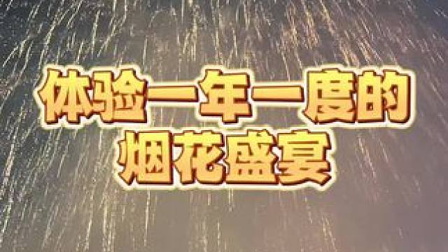 在2024的第一天观看一场烟花盛宴是一种什么样的体验？#新年快乐 #我要上热门  #烟花 #不能错过