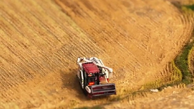 这世界怎么看起来又真又假的