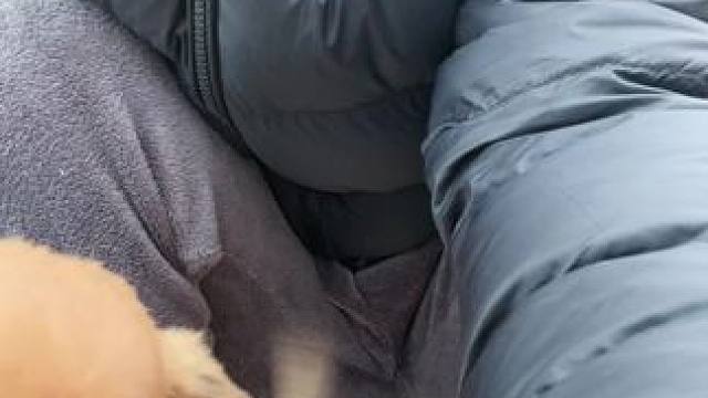 我发布了一个新视频，快来围观吧！