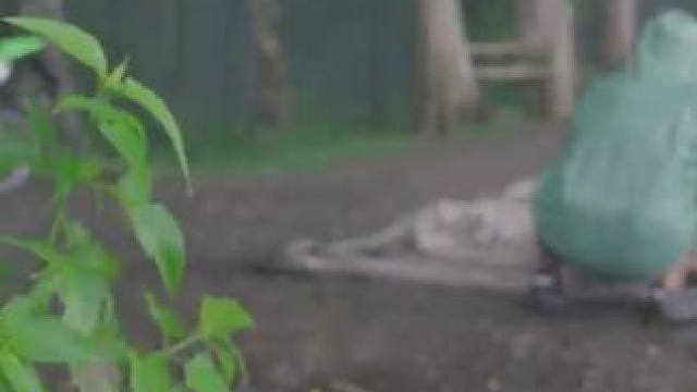 雨天不在家呆着跑这里 #野外生存 #露营