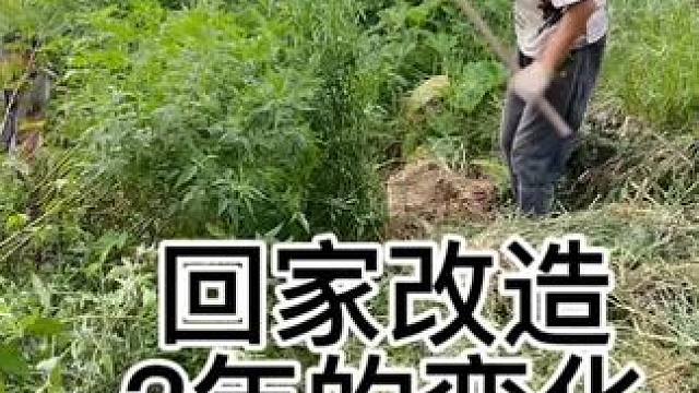 一个视频看完三年周末休息改造湖边老房全过程。 一个视频看完三年周末休息改造湖边老房全过程。#老房改造