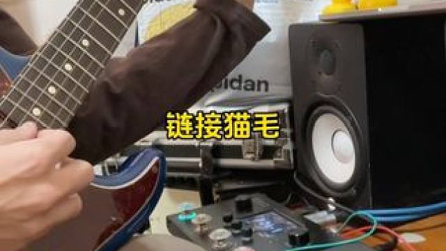 电吉他链接猫毛居然是这种声音！！！#娱乐评论大赏 #萌宠 #电吉他