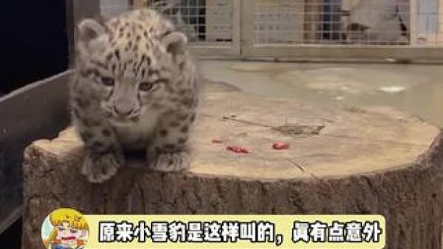 妈妈出来喽！看你们还敢笑我！