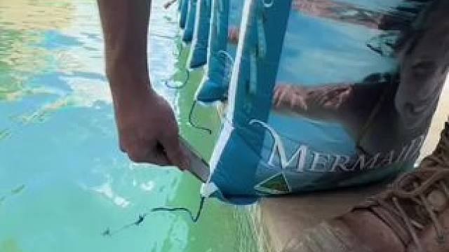 我发布了一个新视频，快来围观吧！