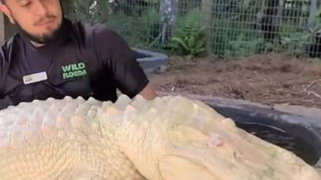 专业动作请勿模仿~