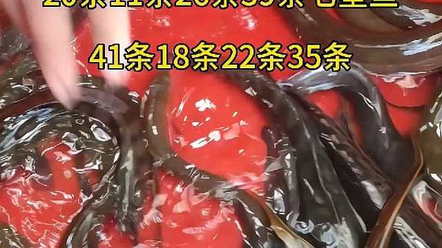 寻找志同道合的朋友