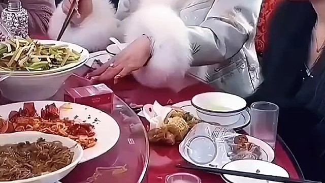 顺走茅台那个过分了哈[捂脸]