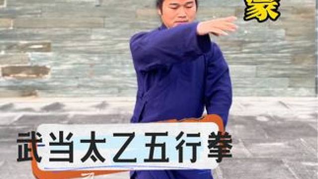 武当太乙五行拳第三章还是在冲虚庵#武当功夫 #武当太乙五行拳