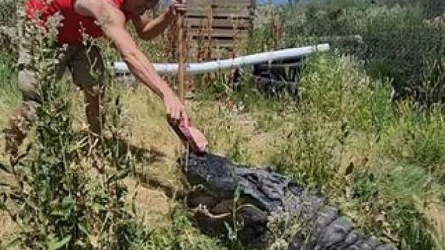 专业动作请勿模仿~