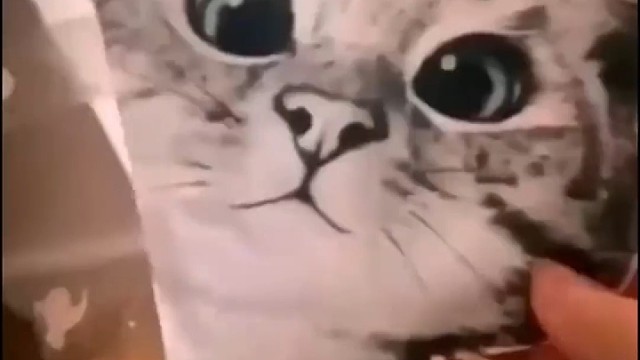 这是类似看到了喵飘吗