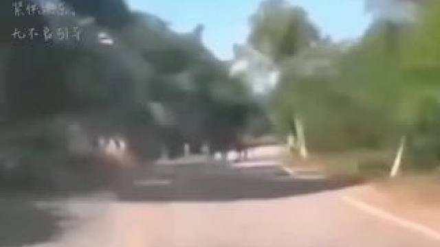 #影视解说 #越看越上头的好剧 #推荐电影 #剧情片段