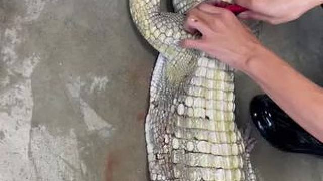 我发布了一个新视频，快来围观吧！