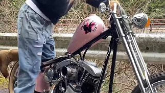 乌鸦姐的粉红战车 #复古机车 #chopper #哈雷 #脚启 #shovelhead