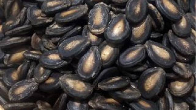 每到做瓜子的时候，就又快过年啦，忙忙碌碌，又是新的一年#寻找年味 #纯手工零添加 #家乡味