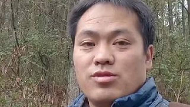 今天又出了巡山了，巡的就是后面这松山林，看这种山形有什么货。#山林 #山货上头条 #巡山 #一日一植