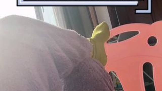 #人类幼崽 #萌娃日常 #让宝宝享受探索世界的乐趣 #亲子陪伴记录 #自己玩的不亦乐乎