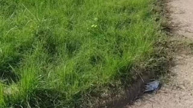 我发布了一个新视频，快来围观吧！