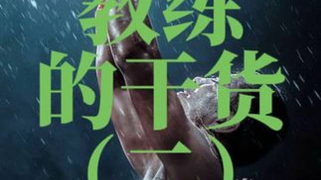 #职业拳击 #干货分享 #说真话 #普及知识 #格斗