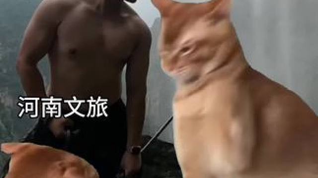 压力给到河南文旅~