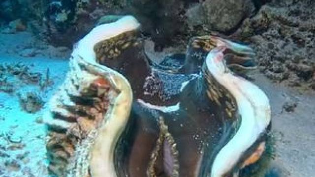 一起看看海底世界~