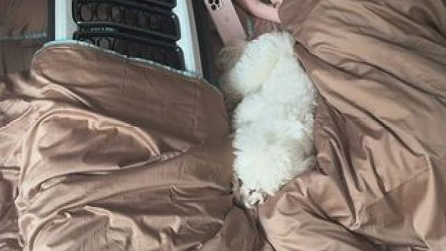 把生活调成自己喜欢的频道#jeep角斗士#撸车日常#日常vlog